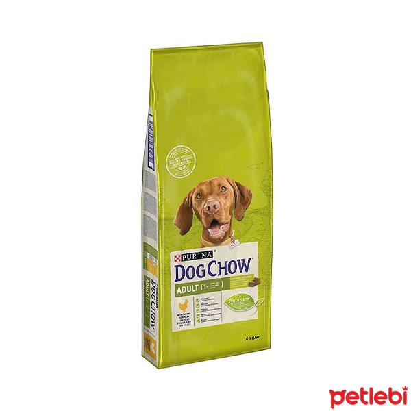 Dog Chow Tavuk Etli Yetişkin Köpek Maması 14kg
