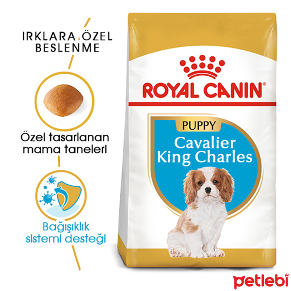 Royal Canin Puppy Cavalier King Charles Yavru Köpek Maması 1,5kg