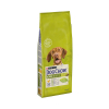 Dog Chow Tavuk Etli Yetişkin Köpek Maması 14kg