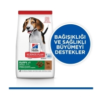 Hill's SCIENCE PLAN Healthy Development Kuzulu Orta Irk Yavru Köpek Maması 2,5kg