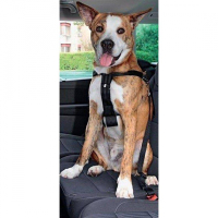 Pawise Emniyet Kemerli Köpek Tasması 70cm [L]