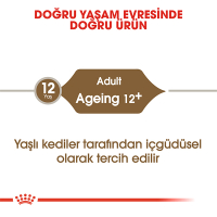 Royal Canin Ageing +12 Sos İçinde Yaşlı Kedi Konservesi 85gr