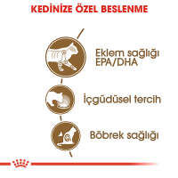 Royal Canin Ageing +12 Sos İçinde Yaşlı Kedi Konservesi 85gr