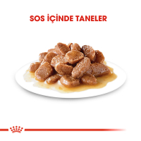 Royal Canin Ageing +12 Sos İçinde Yaşlı Kedi Konservesi 85gr