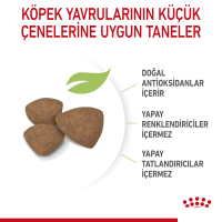 Royal Canin Mini Indoor Küçük Irk Yavru Köpek Maması 1,5kg