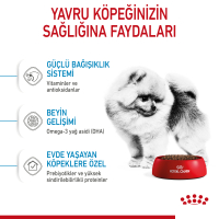 Royal Canin Mini Indoor Küçük Irk Yavru Köpek Maması 1,5kg