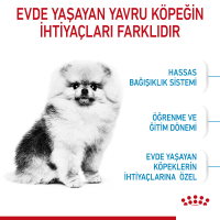 Royal Canin Mini Indoor Küçük Irk Yavru Köpek Maması 1,5kg