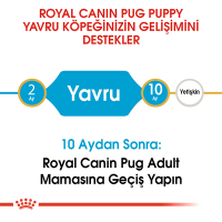 Royal Canin Pug Junior Yavru Köpek Maması 1,5kg