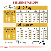 Royal Canin Pug Junior Yavru Köpek Maması 1,5kg