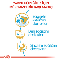 Royal Canin Pug Junior Yavru Köpek Maması 1,5kg