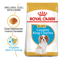 Royal Canin Puppy Cavalier King Charles Yavru Köpek Maması 1,5kg