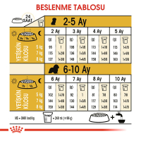 Royal Canin Puppy Cavalier King Charles Yavru Köpek Maması 1,5kg