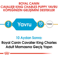 Royal Canin Puppy Cavalier King Charles Yavru Köpek Maması 1,5kg