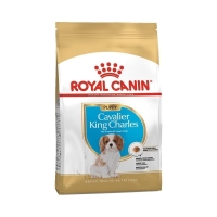 Royal Canin Puppy Cavalier King Charles Yavru Köpek Maması 1,5kg