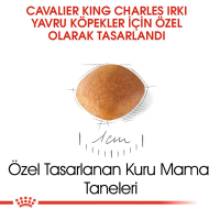 Royal Canin Puppy Cavalier King Charles Yavru Köpek Maması 1,5kg