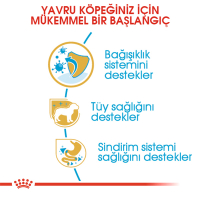 Royal Canin Puppy Poodle Caniche Yavru Köpek Maması 3kg