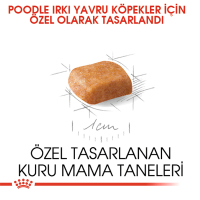 Royal Canin Puppy Poodle Caniche Yavru Köpek Maması 3kg