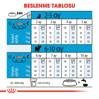 Royal Canin X-Small Küçük Irk Yavru Köpek Maması 500gr
