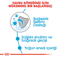 Royal Canin X-Small Küçük Irk Yavru Köpek Maması 500gr