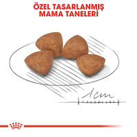 Royal Canin X-Small Küçük Irk Yavru Köpek Maması 500gr