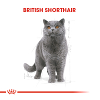 Royal Canin British Shorthair Yetişkin Kedi Maması 2kg