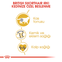 Royal Canin British Shorthair Yetişkin Kedi Maması 2kg
