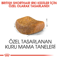 Royal Canin British Shorthair Yetişkin Kedi Maması 2kg