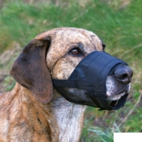 Trixie Fileli Köpek Ağızlığı 18cm-24cm [M]