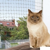 Trixie Kedi Cam Koruma Ağı 3x2m (Yeşil)