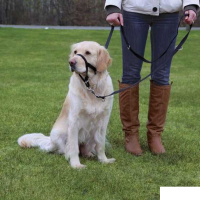 Trixie Uzman Köpek Eğitim Tasması 31cm [L]