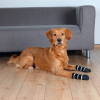 Trixie Kaymaz Tabanlı Köpek Çorabı (2'li) [XS-S]