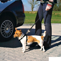 Trixie Köpek Emniyet Kemeri 30-60cm [S]