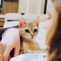 Fdn3734 kullanıcısının #25502 peti