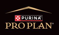 Pro Plan