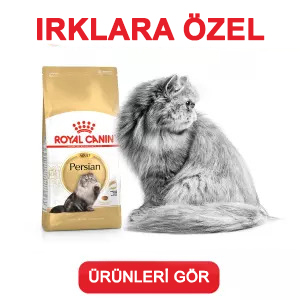 Royal Canin Özel Irk Kedi Maması