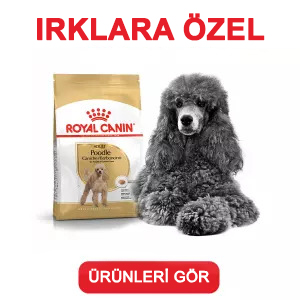 Royal Canin Özel Irk Köpek Maması