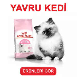 Royal Canin Yavru Kedi Maması