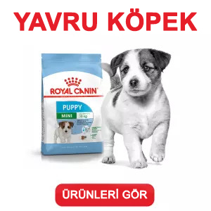 Royal Canin Yavru Köpek Maması