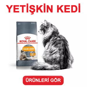 Royal Canin Yetişkin Kedi Maması