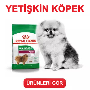 Royal Canin Yetişkin Köpek Maması