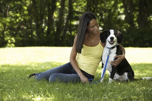 Köpekle Gezintileri Kolaylaştıracak Şeyler 3