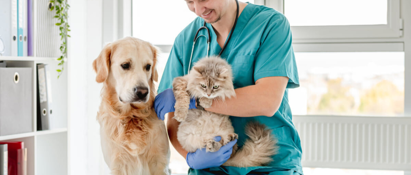 Evcil Hayvanlarda Koruyucu Hekimlik Nedir, Neden Önemlidir?