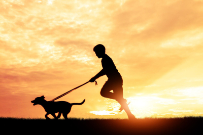 Dışarıdan Gelen Köpek Nasıl Temizlenir? Günlük Yürüyüş Sonrası Köpek Bakımı