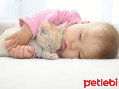 Kediler Bebekleri Kıskanır mı?