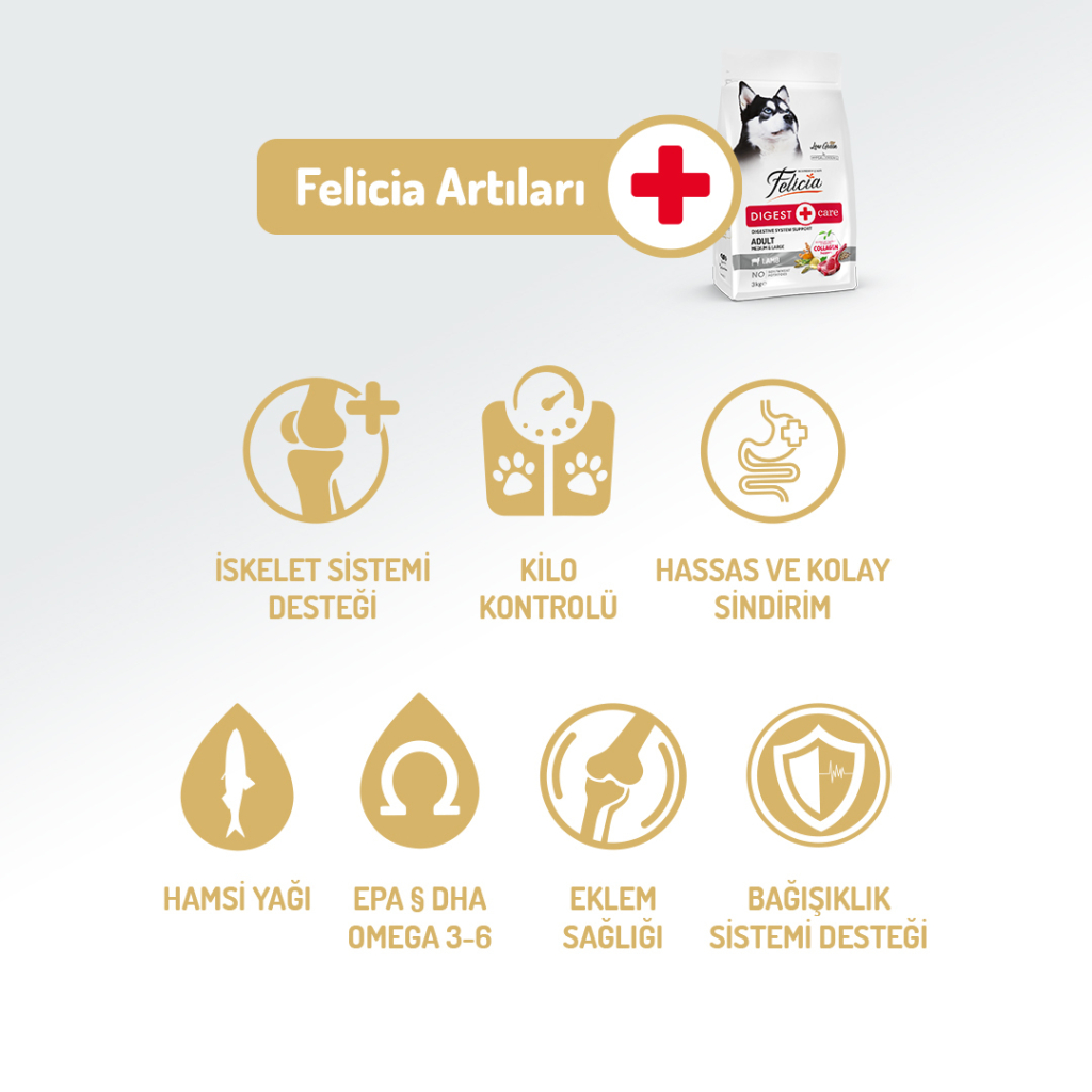 Felicia Hipoalerjenik Orta ve Büyük Irk Kuzulu Düşük Tahıllı Yetişkin Köpek Maması 3kg