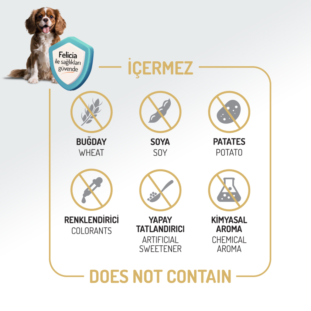 Felicia Hipoalerjenik Orta ve Büyük Irk Kuzulu Düşük Tahıllı Yetişkin Köpek Maması 3kg