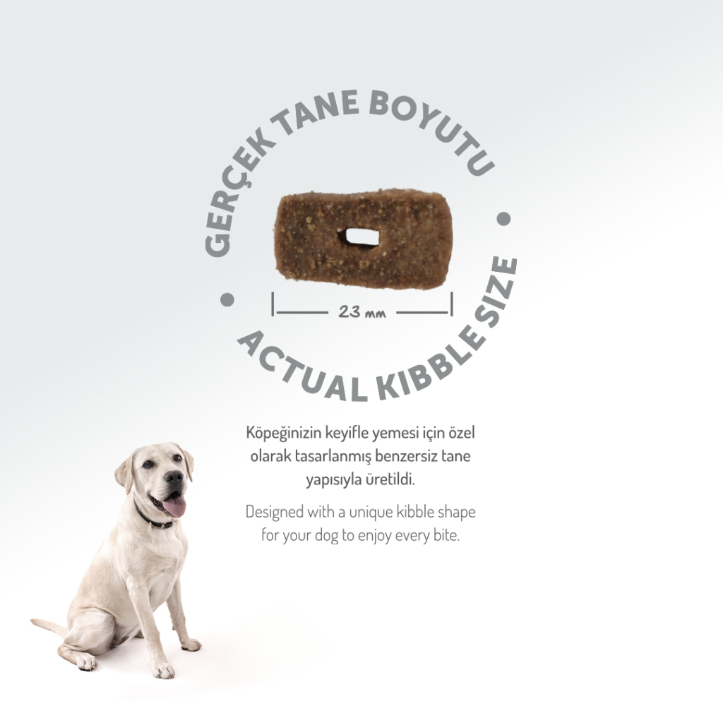 Felicia Hipoalerjenik Orta ve Büyük Irk Kuzulu Düşük Tahıllı Yetişkin Köpek Maması 3kg