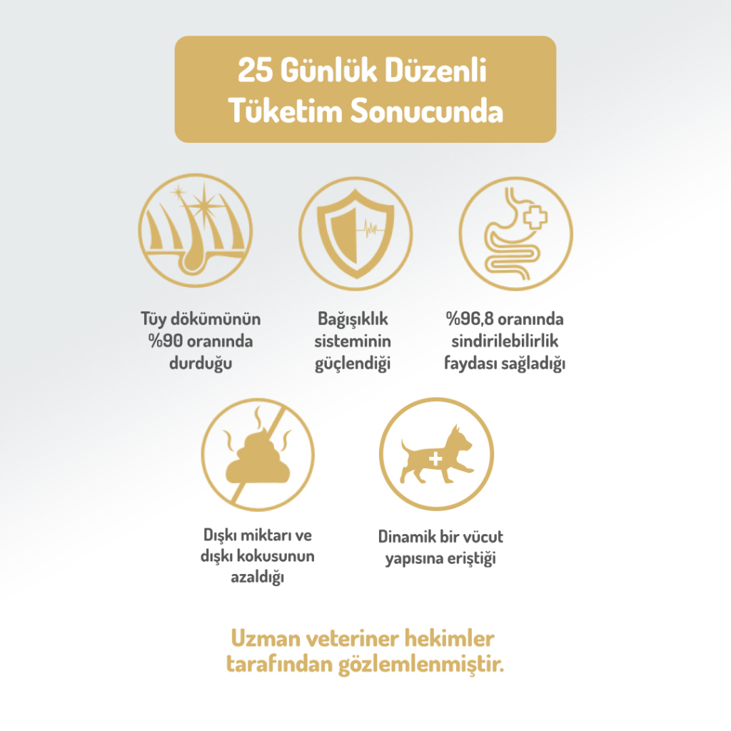 Felicia Hipoalerjenik Orta ve Büyük Irk Kuzulu Düşük Tahıllı Yetişkin Köpek Maması 3kg