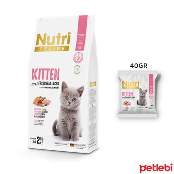 nutri feline kitten