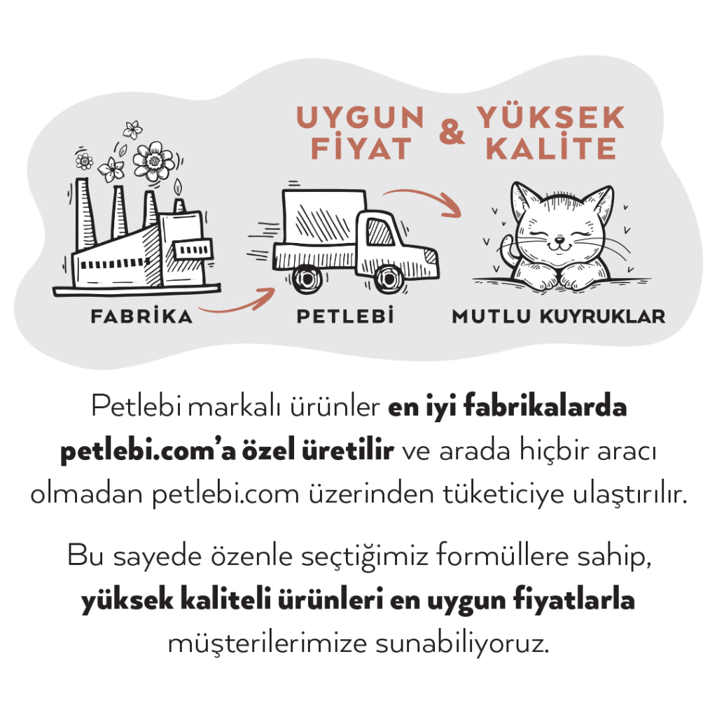 Petlebi Sos İçinde Fileto Etli Özel Balık Serisi Karışık Çeşitli Kedi Konservesi 70gr (4 Adet)